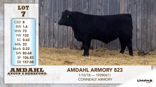 Lot #7 - AMDAHL ARMORY 823