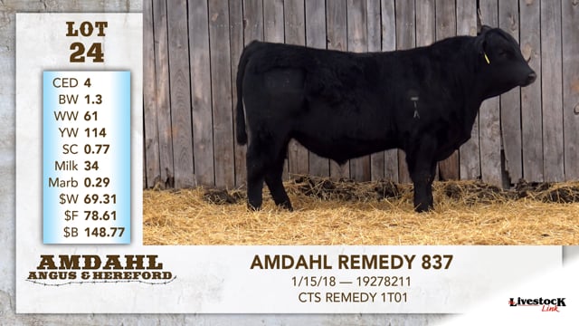 Lot #24 - AMDAHL REMEDY 837