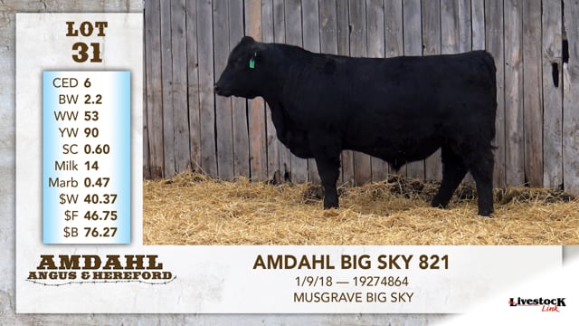 Lot #31 - AMDAHL BIG SKY 821