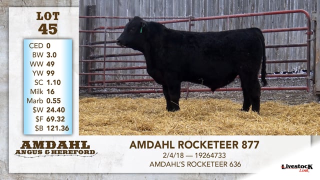Lot #45 - AMDAHL ROCKETEER  877