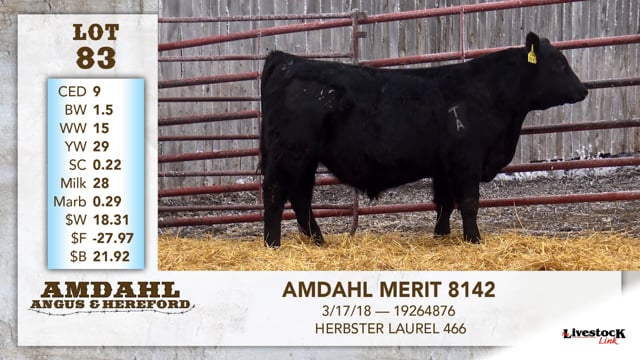 Lot #83 - AMDAHL MERIT 8142