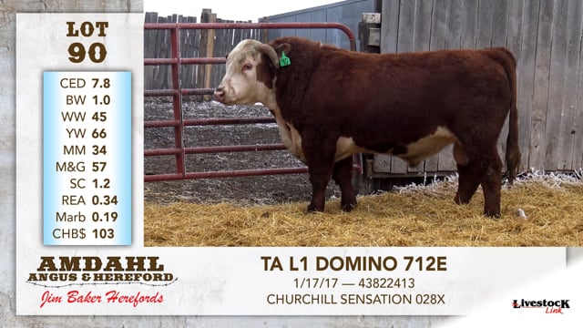 Lot #90 - TA L1 DOMINO 712E
