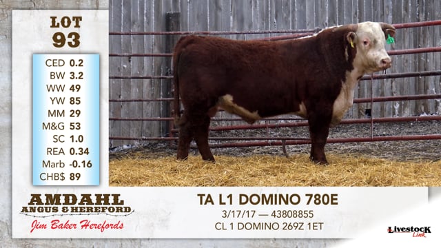 Lot #93 - TA L1 DOMINO 780E