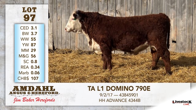 Lot #97 - TA L1 DOMINO 790E