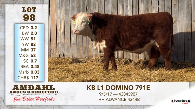 Lot #98 - KB L1 DOMINO 791E