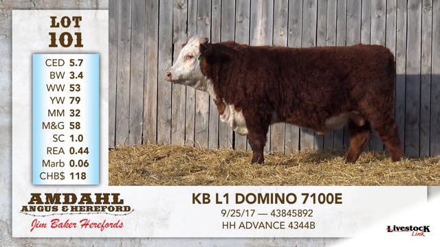 Lot #101 - KB L1 DOMINO 7100E