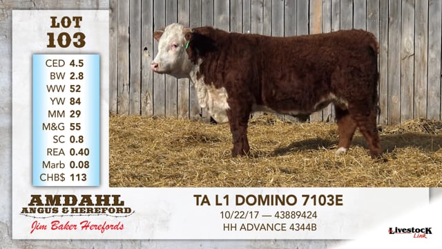 Lot #103 - TA L1 DOMINO 7103E