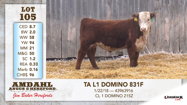 Lot #105 - TA L1 DOMINO 831F