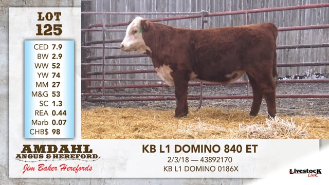Lot #125 - KB L1 DOMINO 840 ET
