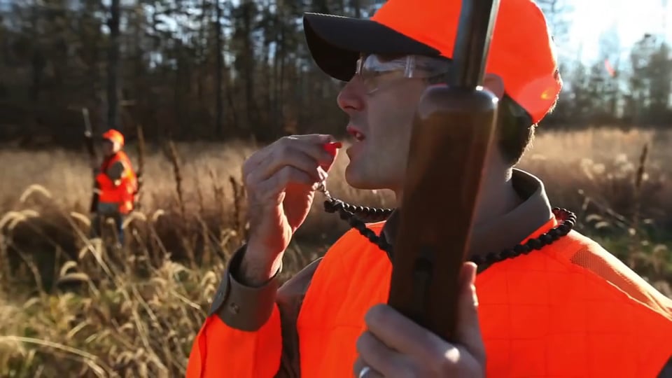 The Effectiveness of Blaze Orange video