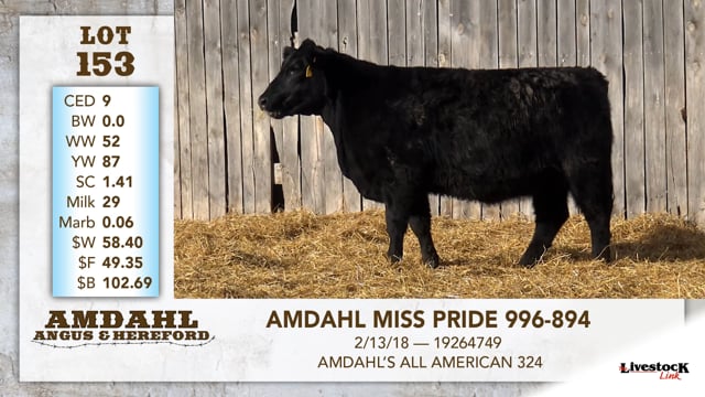 Lot #153 - AMDAHL MISS PRIDE 996-894