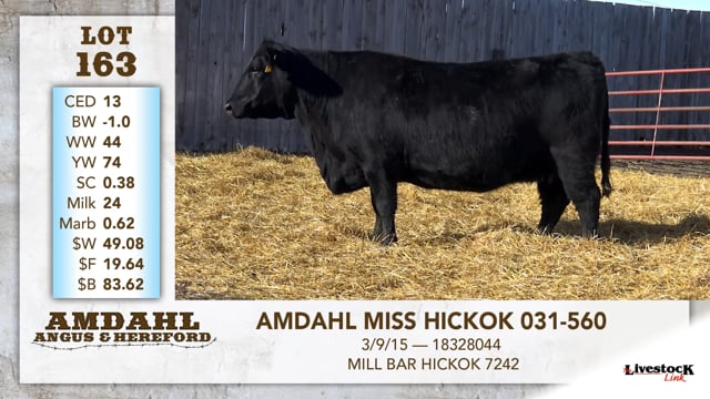 Lot #163 - AMDAHL MISS HICKOK 031-560