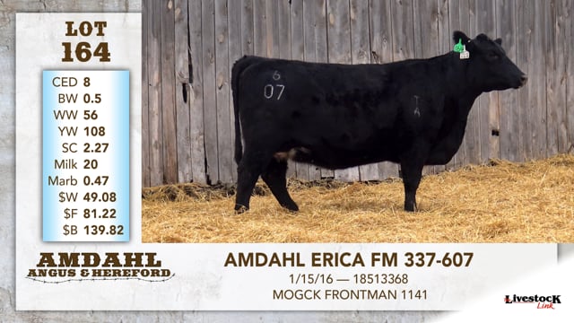 Lot #164 - AMDAHL ERICA FM 337-607