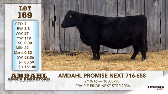 Lot #169 - AMDAHL PROMISE NEXT 716-658