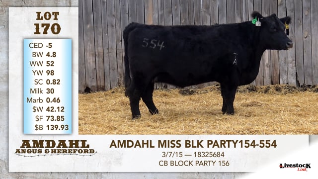 Lot #170 - AMDAHL MISS BLK PARTY 154-554