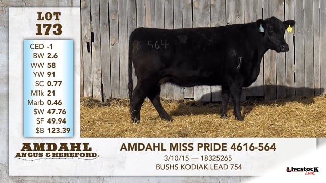 Lot #173 - AMDAHL MISS PRIDE 4616-564