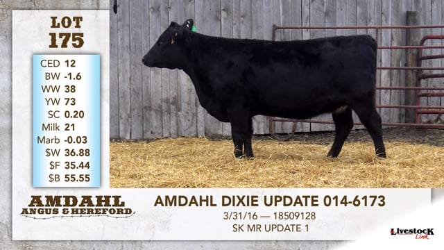 Lot #175 - AMDAHL DIXIE UPDATE 014-6173