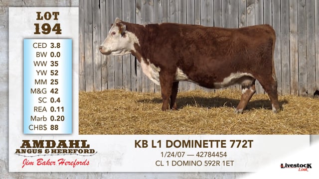 Lot #194 - KB L1 DOMINETTE 772T