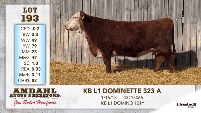 Lot #193 - KB L1 DOMINETTE 323 A