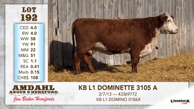 Lot #192 - KB L1 DOMINETTE 6105 A