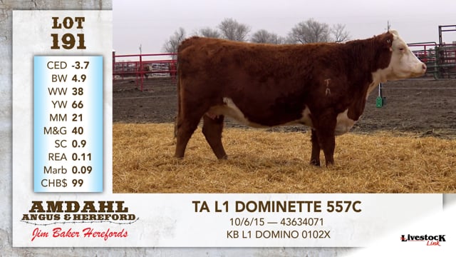 Lot #191 - TA L1 DOMINETTE 557C