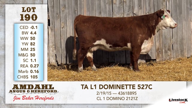 Lot #190 - TA L1 DOMINETTE 527C