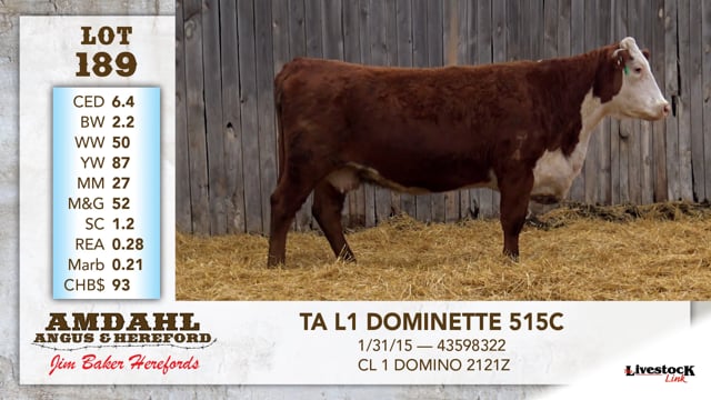 Lot #189 - TA L1 DOMINETTE 515C