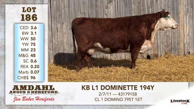 Lot #186 - KB L1 DOMINETTE 194Y