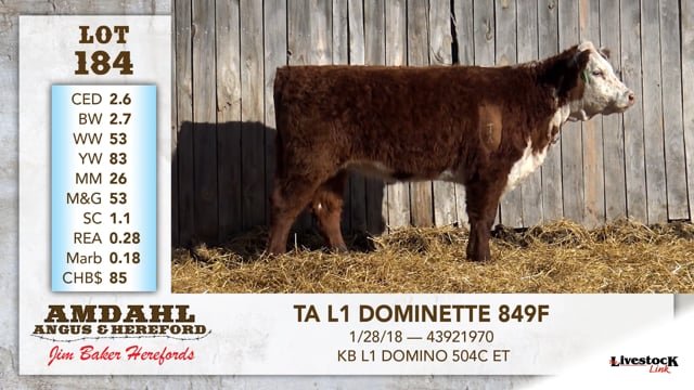 Lot #184 - TA L1 DOMINETTE 849F