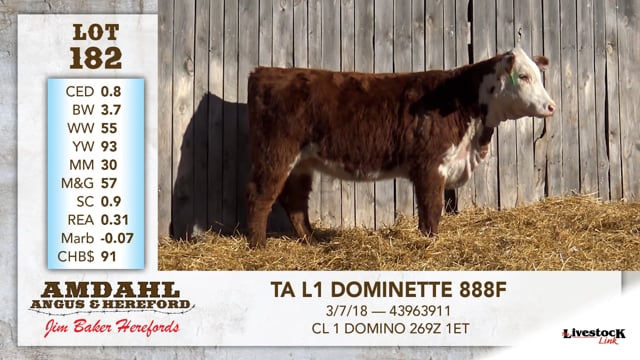 Lot #182 - TA L1 DOMINETTE 888F