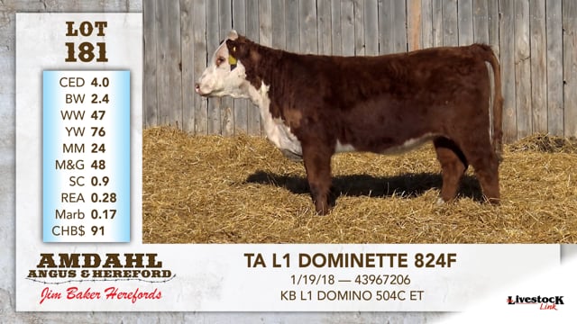 Lot #181 - TA L1 DOMINETTE 824F