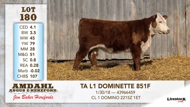 Lot #180 - TA L1 DOMINETTE 851F