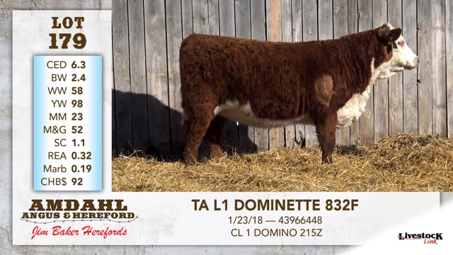 Lot #179 - TA L1 DOMINETTE 832F