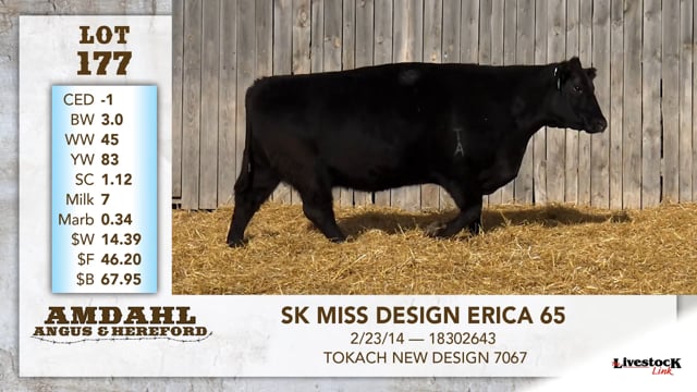 Lot #177 - SK MISS DESIGN ERICA 65