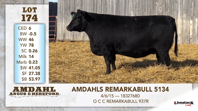 Lot #174 - AMDAHLS REMARKABULL 5134