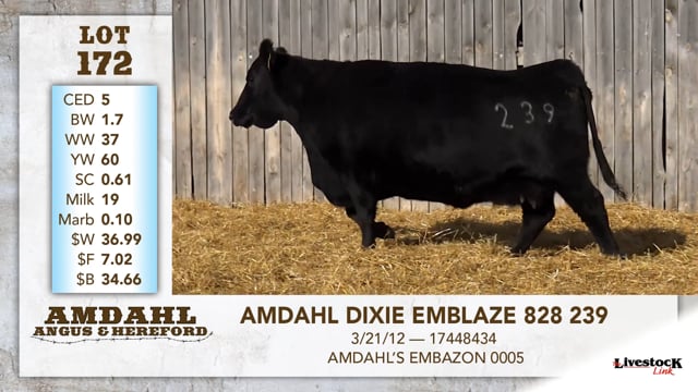 Lot #172 - AMDAHL DIXIE EMBLAZE 828 239
