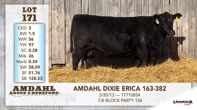 Lot #171 - AMDAHL DIXIE ERICA 163-382
