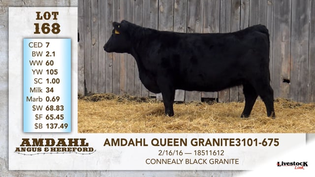 Lot #168 - AMDAHL QUEEN GRANITE 3101-675