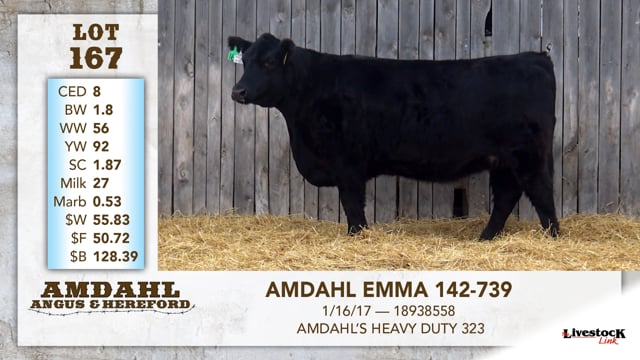 Lot #167 - AMDAHL EMMA 142-739