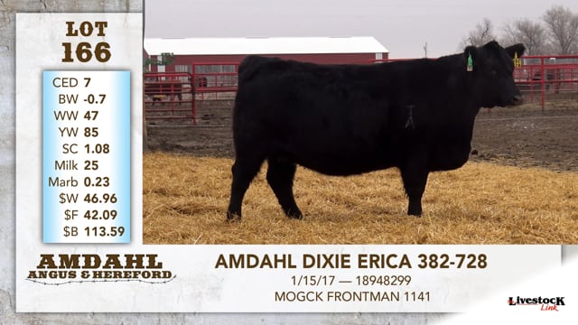 Lot #166 - AMDAHL DIXIE ERICA 382-728