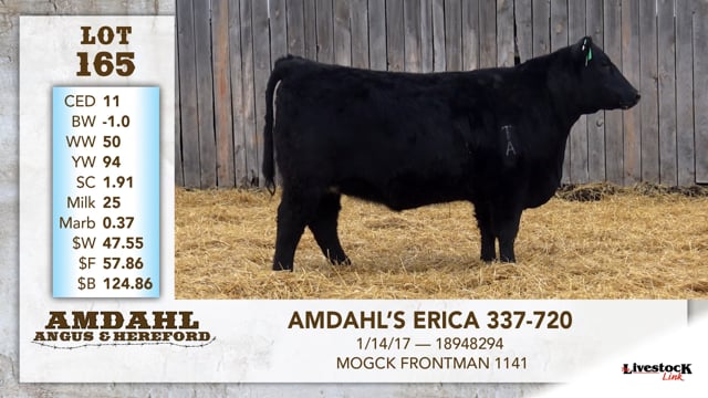 Lot #165 - AMDAHL'S ERICA 337-720