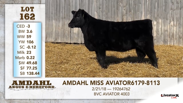 Lot #162 - AMDAHL MISS AVIATOR 6179-8113