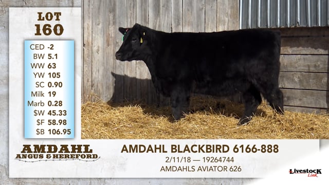 Lot #160 - AMDAHL BLACKBIRD 6166-888