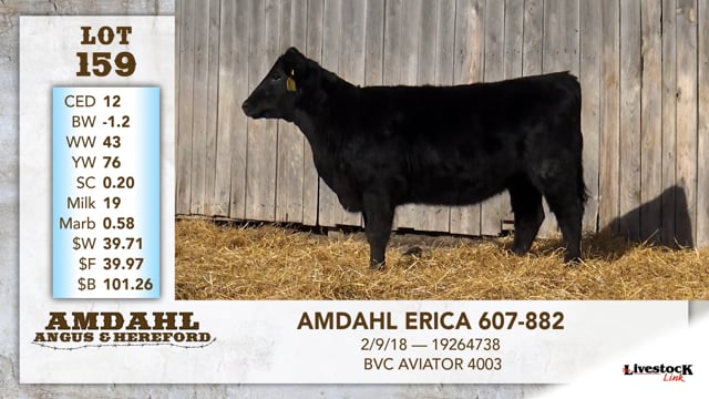 Lot #159 - AMDAHL ERICA 607-882