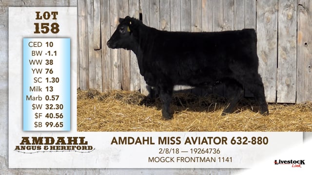 Lot #158 - AMDAHL MISS AVIATOR 632-880