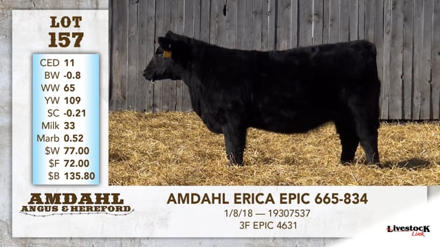 Lot #157 - AMDAHL ERICA EPIC 665-834