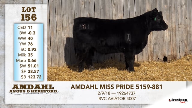 Lot #156 - AMDAHL MISS PRIDE 5159-881