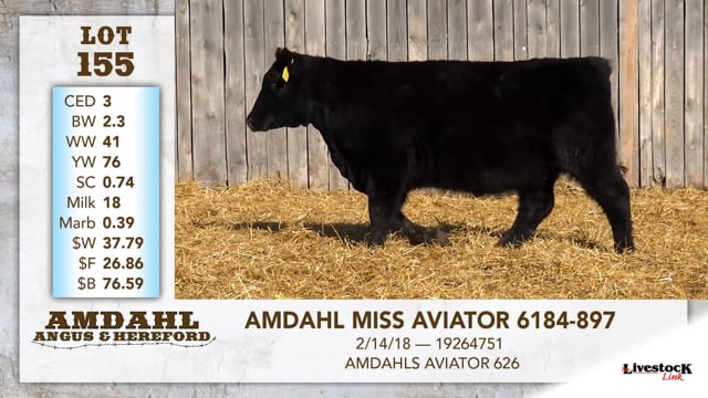 Lot #155 - AMDAHL MISS AVIATOR 6184-897