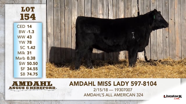 Lot #154 - AMDAHL MISS LADY 597-8104