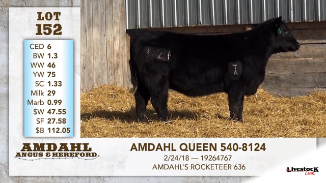 Lot #152 - AMDAHL QUEEN 540-8124